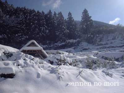 �����킢�q