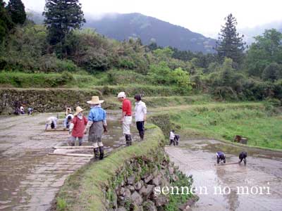 ���R�_�@���H�_��